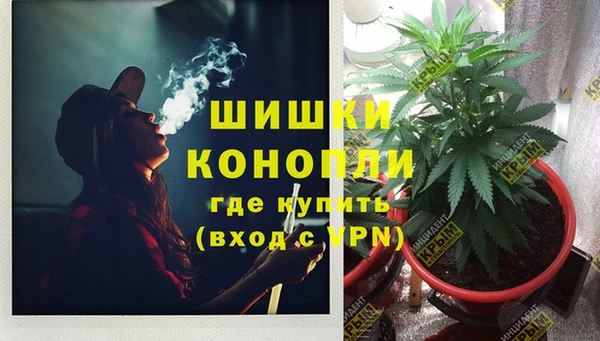 трава Богданович