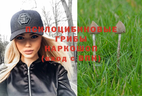 мескалин Богородск